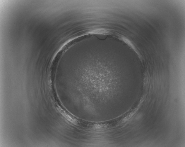 X0000062150923200512161230