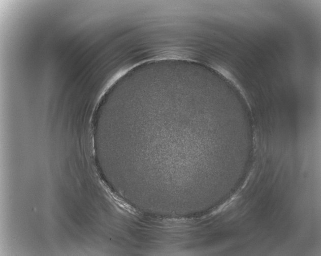 X0000062150925200512161230