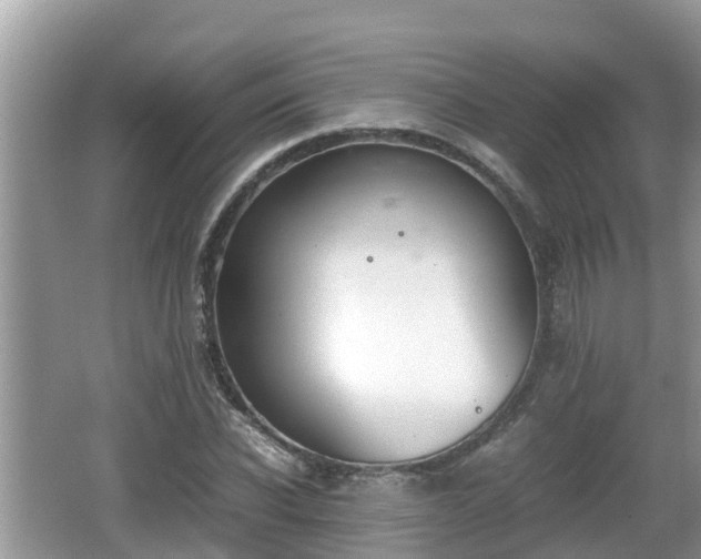 X0000062150926200512161230