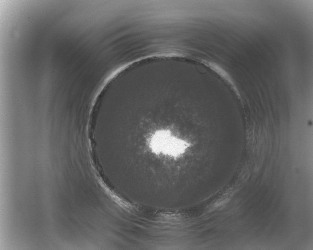 X0000062150935200512161230