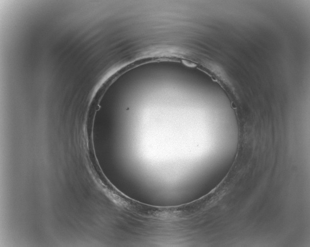 X0000062150936200512161230