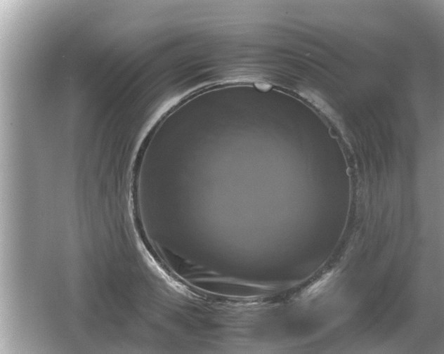 X0000062150941200512161230