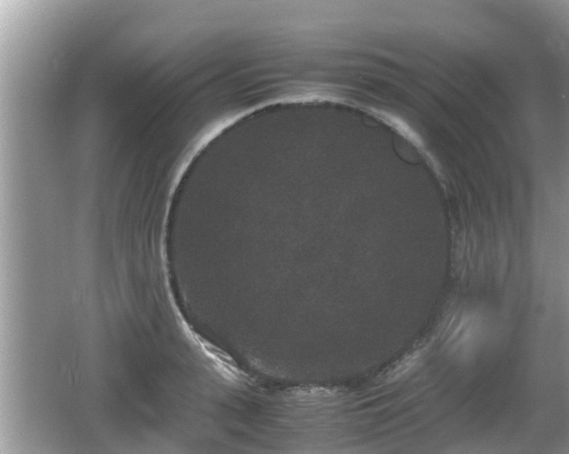 X0000062150943200512161230