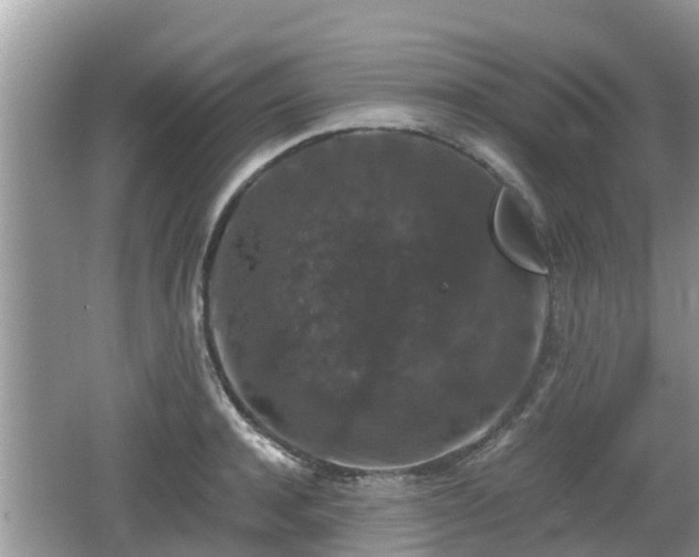 X0000062150944200512161230