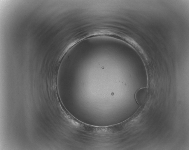 X0000062150945200512161230