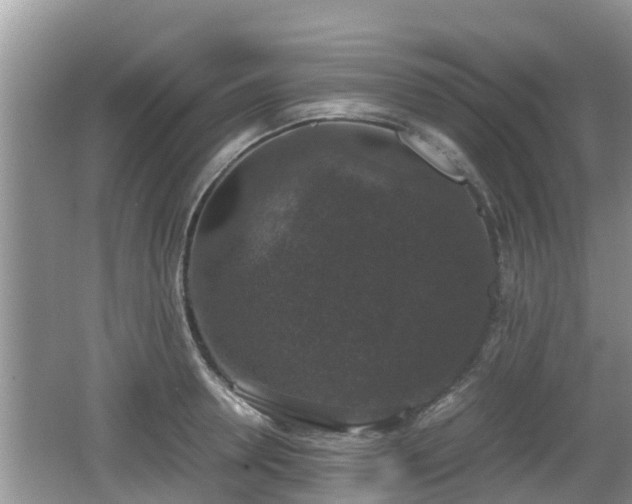 X0000062150946200512161230