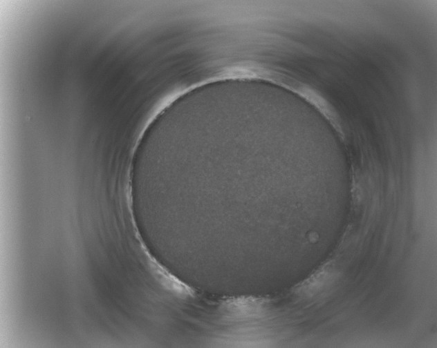 X0000062150950200512161231