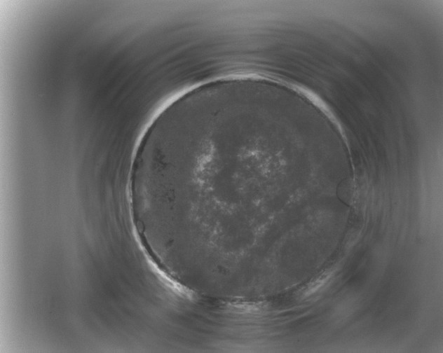 X0000062150951200512161231