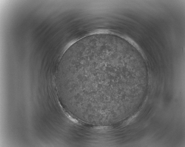 X0000062150953200512161231