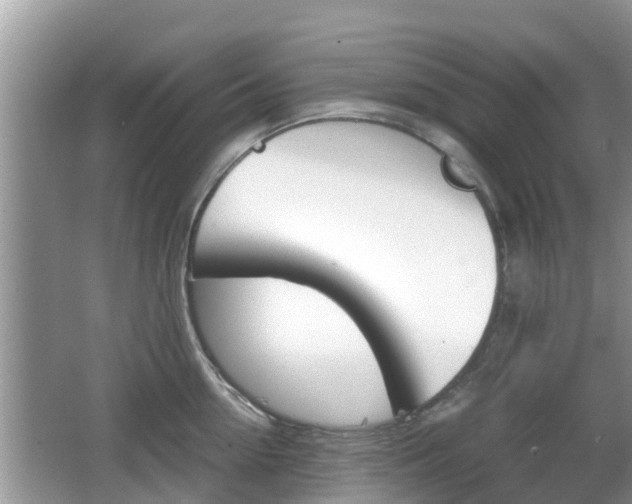 X0000062150954200512161231