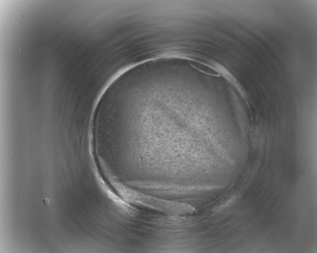 X0000062150955200512161231