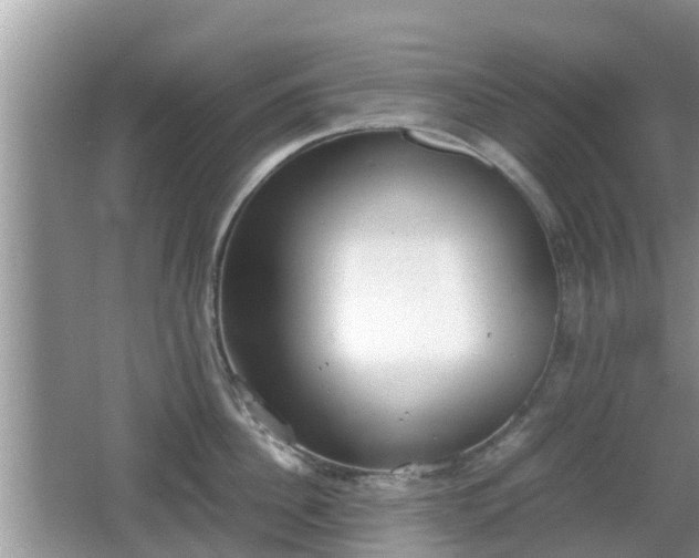 X0000062150956200512161231