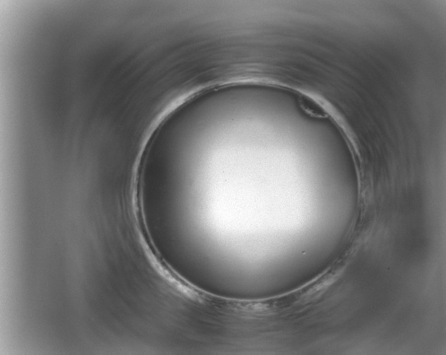 X0000062150957200512161231