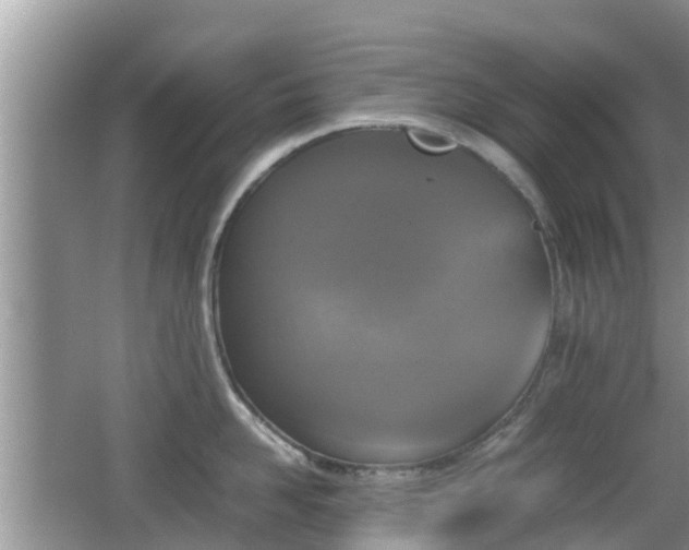 X0000062150958200512161231