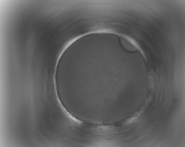 X0000062150959200512161231