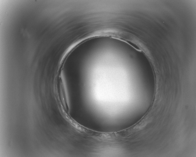 X0000062150960200512161231