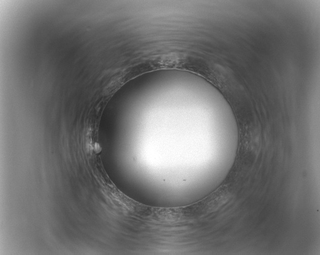 X0000062150962200512161230