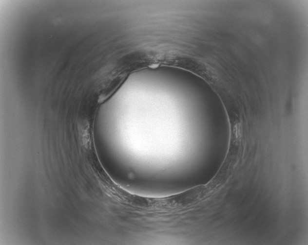 X0000062150963200512161230