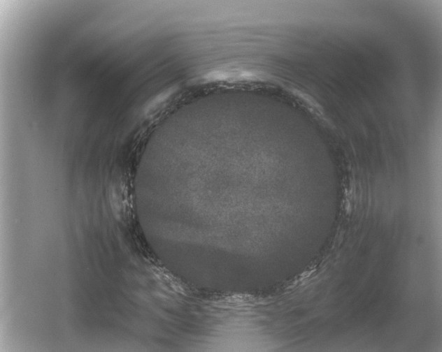 X0000062150966200512161230