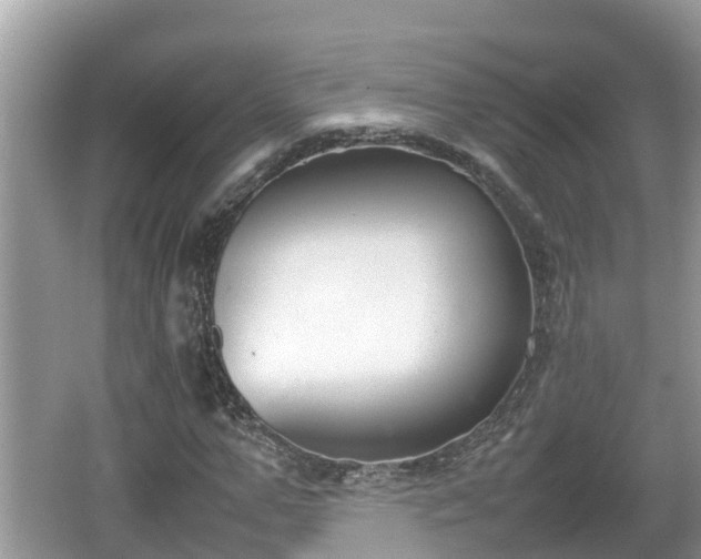 X0000062150967200512161230