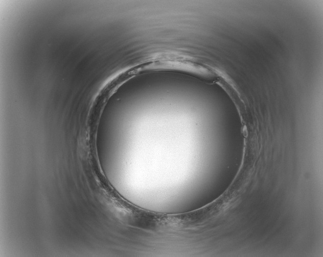 X0000062150971200512161230