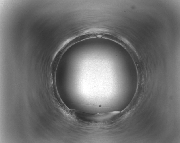 X0000062150973200512161230