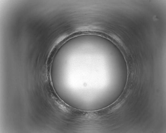 X0000062150974200512161230