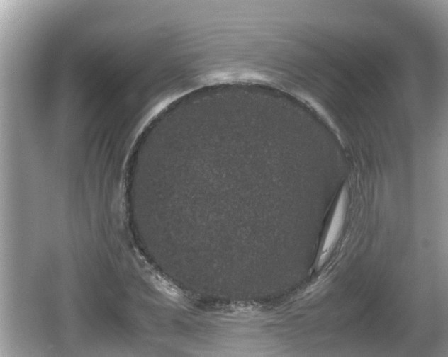 X0000062150975200512161230