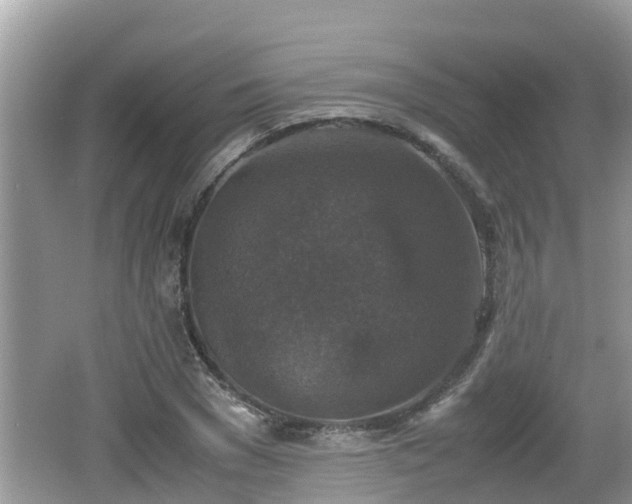 X0000062150977200512161230