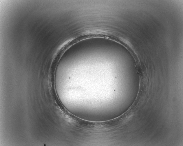 X0000062150979200512161230