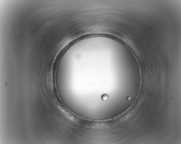 X0000062150982200512161230