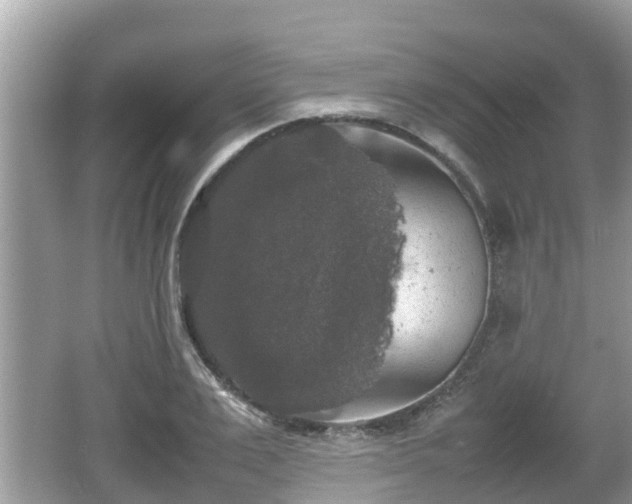 X0000062150983200512161230