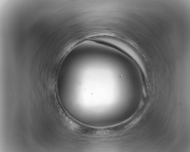 X0000062150985200512161229