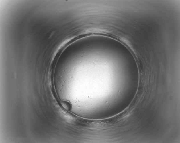 X0000062150987200512161229