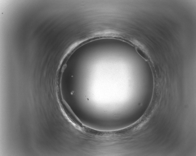 X0000062150989200512161229