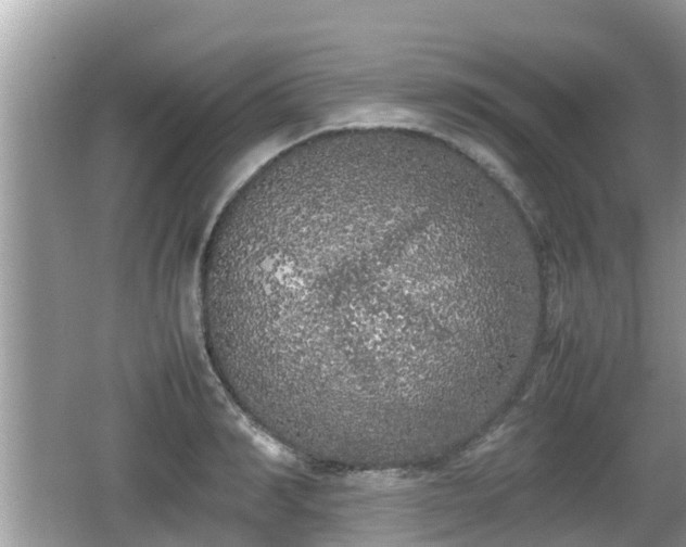 X0000062150990200512161229