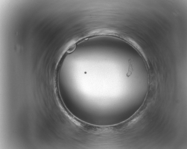 X0000062150997200512161229