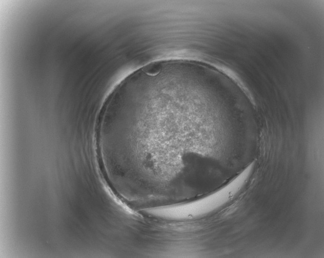 X0000062150998200512161229