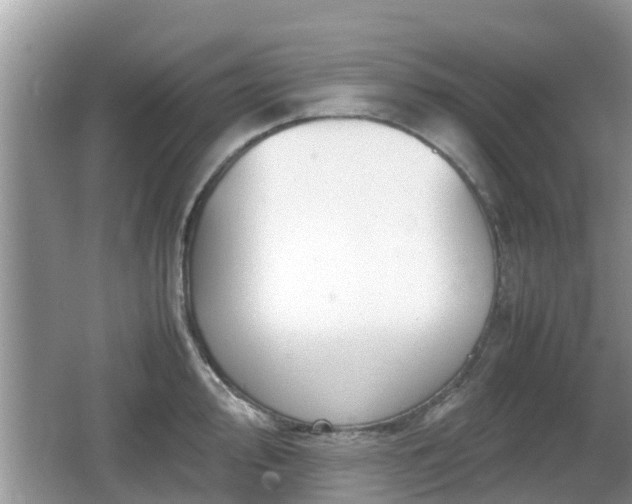 X0000062151000200512161229