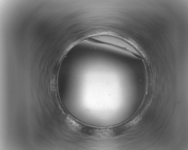 X0000062151001200512161229