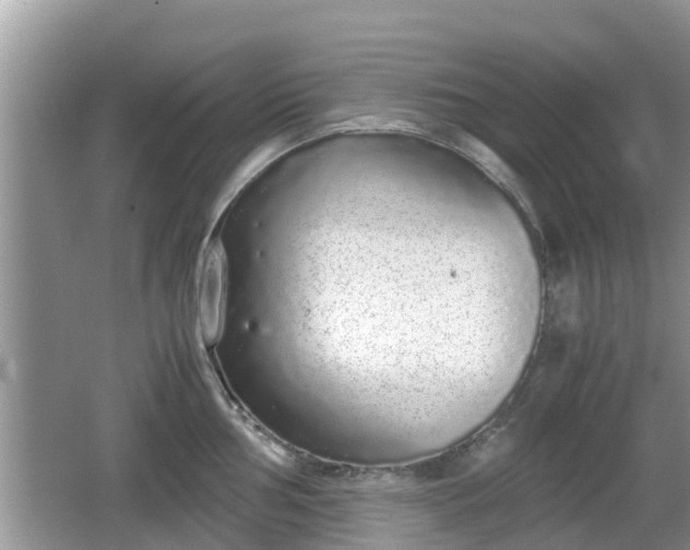 X0000062151002200512161229