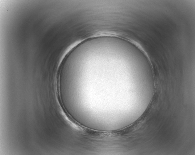 X0000062151003200512161229