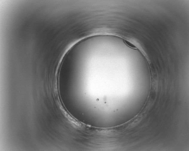 X0000062151004200512161229