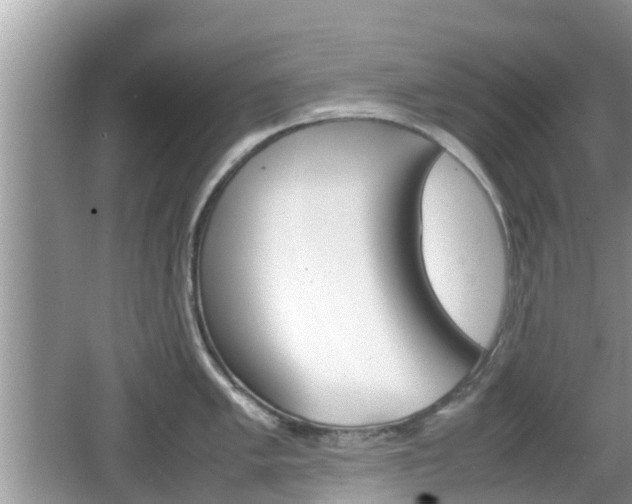 X0000062151005200512161229