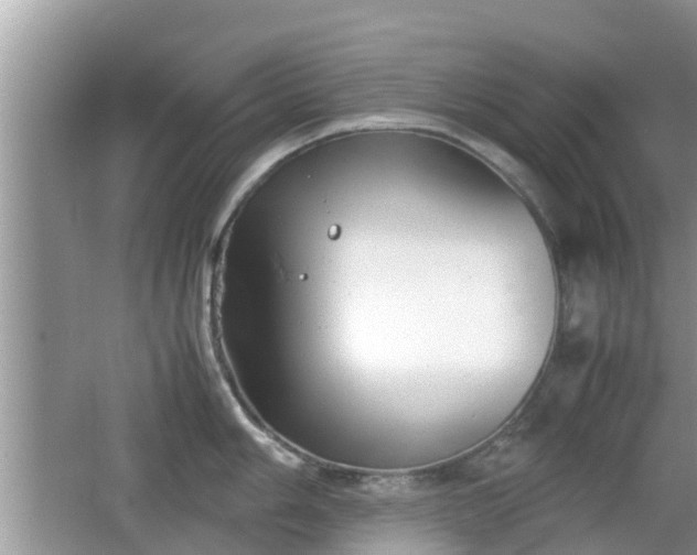 X0000062151006200512161229