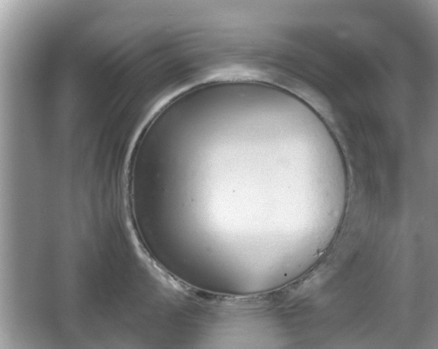 X0000062151008200512161229