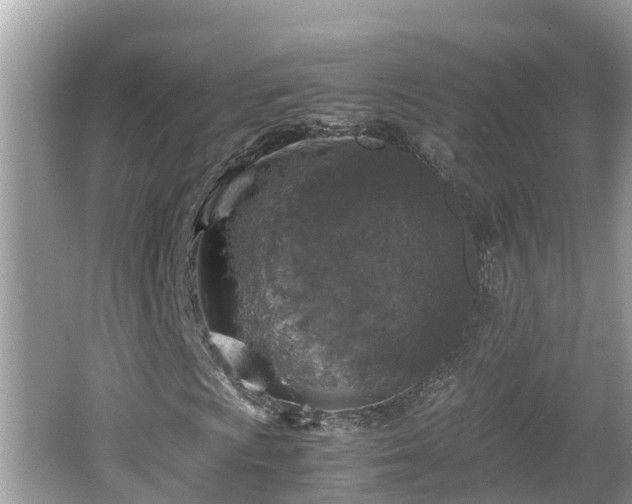 X0000062151009200512161228