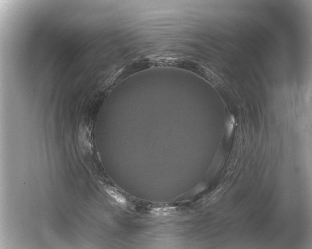 X0000062151010200512161228