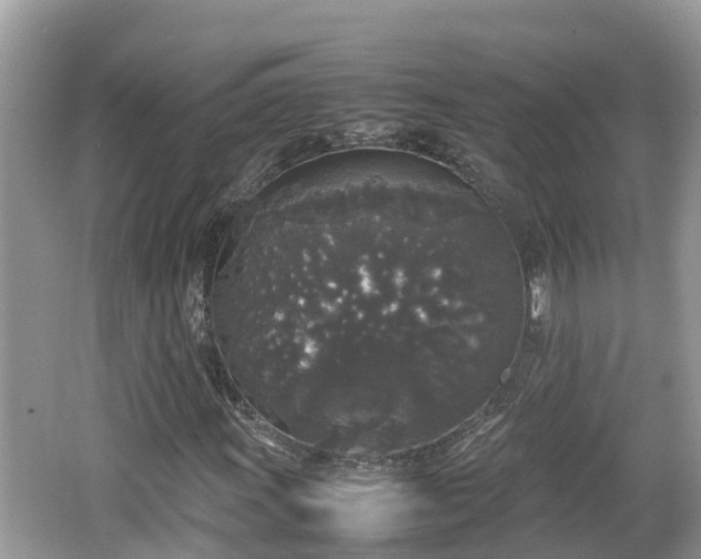 X0000062151011200512161228