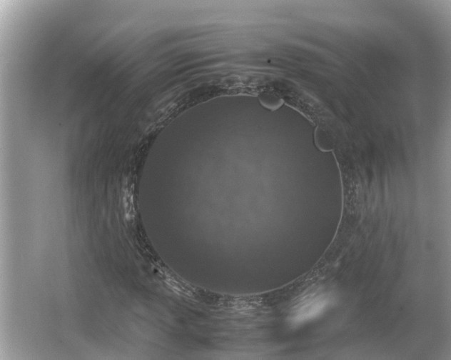 X0000062151013200512161228